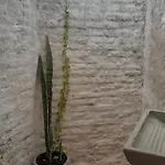Simpatico Monoambiente Centrico Y Luminoso